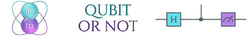 Qubit Or Not Qubit Or Not
